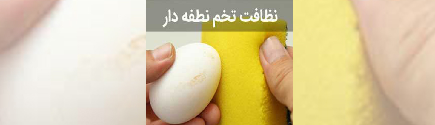 ضد عفونی کردن تخم های نطفه دار قبل از ورود به دستگاه جوجه کشی