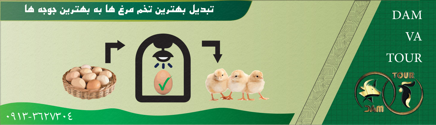 شناسایی تخم مرغ مناسب جوجه کشی و نحوه ی کار با دستگاه جوجه کشی
