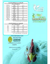 مکمل نیم درصد مرغ تخم گذار نژاد ال اس ال