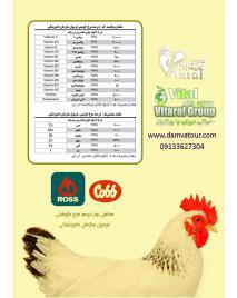 مکمل ویتامینه 0.5 درصد مرغ گوشتی